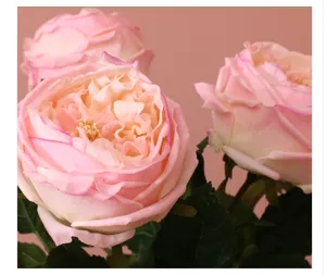 Detailaufnahme künstlicher Austin-Rosen mit feuchtigkeitsspendendem Touch für Hochzeiten.