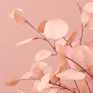 Close up shot of artificial eucalyptus leaves in autumn pink color for home decor details.