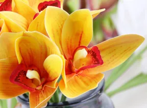 Artificial orchid flower bouquet, fake yellow floral decor for living room table centerpiece.