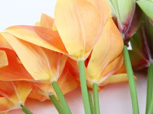 Artificial cymbidium flower bundle detail shot, realistic orange floral decor for home living room.