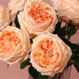 Premium künstliche Austin Rose Blumen für Hochzeitsdekoration und Fotografie Requisiten.