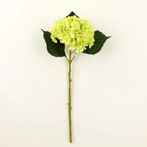 Primo piano di un ramo di ortensia artificiale verde, con petali e stelo realistici e dettagliati.
