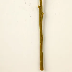 Dettaglio dello stelo del fiore artificiale, texture verde realistica per composizioni floreali.
