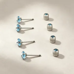 Blue stainless steel cubic zirconia stud earrings set with screw back for men and women.