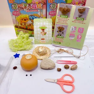 Vista detallada de las piezas del kit de manualidades de muñecas de cáscara de fruta DIY.