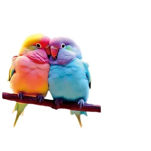 Cute colorful lovebirds keychain pendant pair, lovely couple bird acrylic charm for bags.