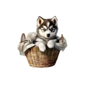 Ornamento Appeso Cane Husky Carino in Acrilico 2D Pendente Specchietto Retrovisore Auto Albero Natale