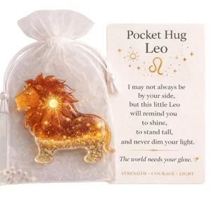 Zodiac Pocket Hug Leo resin lion token with encouraging card and white pouch main view.