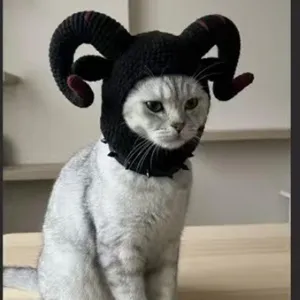 Halloween chat animal bonnet cornes de diable tricotées costume drôle photo accessoire
