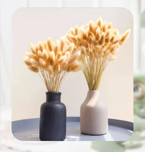 Bunny tail grass dried flowers detail shot, elegant ceramic vases for home decor tabletop setup.