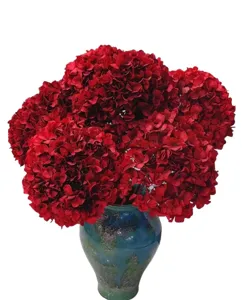 Primo piano dettagliato di fiori di ortensia rossi stabilizzati in un vaso di ceramica blu.