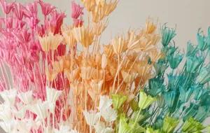 Detailed view of colorful dried octagonal flowers, perfect for vintage DIY floral arrangements.