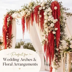 Red hanging amaranth and white roses floral arrangement for gorgeous wedding arch decoration.