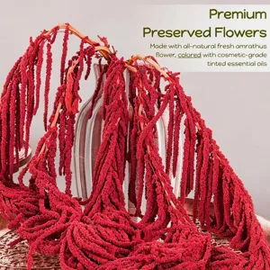 Premium preserved amaranthus hanging flowers natural dried floral for wedding home decor
