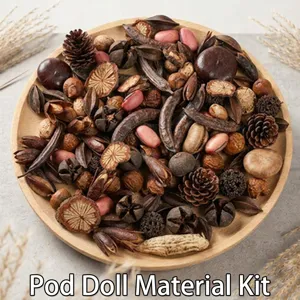 Dried botanical pinecones and pods material pack, natural decorative craft items closeup detail.