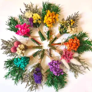 Mini dried flower bouquets colorful assorted natural botanical bundles for home decor gift.