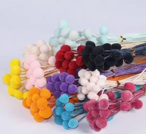 Preserved dried billy balls flower bouquets natural craspedia flowers bulk wholesale floral arrangement