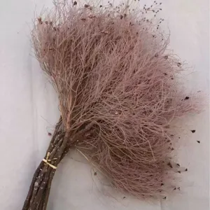 Primo piano ravvicinato e dettagliato di un mazzo di fiori secchi con bella trama naturale.