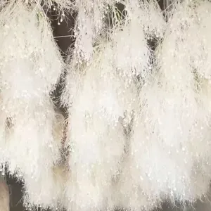 Primo piano dettagliato di fiori secchi preservati bianchi, ideali per decorazioni floreali.