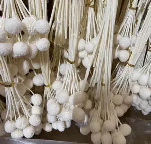 White preserved craspedia dried flower bouquets billy balls bulk natural floral arrangements for decor