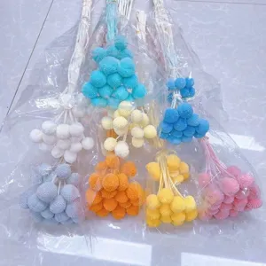 Natural preserved craspedia dried flowers bouquet golden balls billy buttons floral decoration