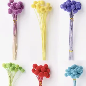 Natural dried craspedia billy balls flowers bouquet colorful home decor floral arrangement.