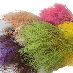 Fiori secchi conservati colorati rami botanici soffici per decorazione domestica