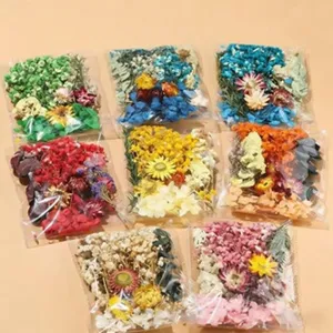 Assorted dried flowers mixed colorful botanical sets for DIY crafts and resin art decor.
