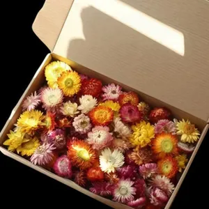 Colorful dried strawflowers in gift box for home decor, crafts, and DIY floral arrangements.