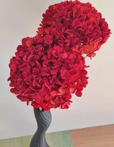 Close up of dark red preserved hydrangea flower branch in a modern dark grey spiral vase.