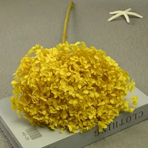 Detail shot of yellow preserved hydrangea flower branch, perfect for floral arrangement decor.