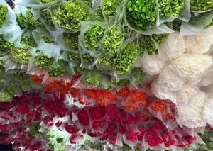 Preserved hydrangea single branch dried flower handmade wrapped floral decor for home decoration