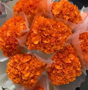 Detailed close-up view of vibrant orange preserved hydrangea bouquet with translucent wrapping.