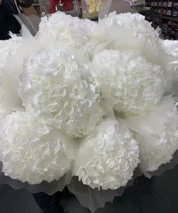 Large white hydrangea preserved flower bouquet for home decor and handmade floral arrangements.