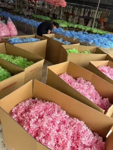Factory bulk display of colorful hydrangea preserved flowers in workshop packaging boxes.