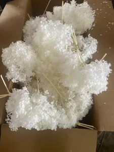 Detail view of white preserved hydrangea dried flowers, single branch 20cm for DIY decor.