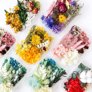 Preserved flowers DIY material natural dried flower set for handmade craft holiday gift decoration