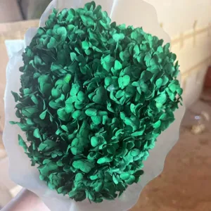 Green preserved flower bouquet detail, vibrant floral arrangement for home decor and display.