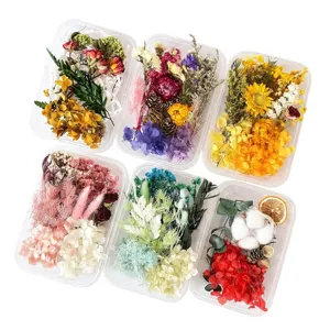 Detailed view of six transparent boxes filled with colorful dried and preserved flowers for DIY.