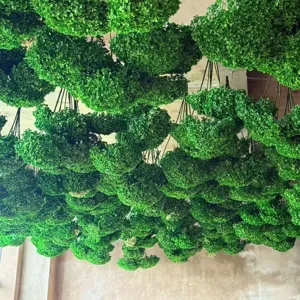 Green preserved flower hanging branches detail shot, perfect for home decor and store decor.