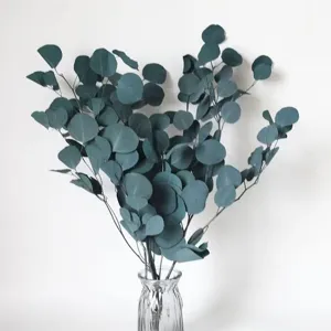 Green preserved eucalyptus dry branches for home decor, floral arrangement detail view.