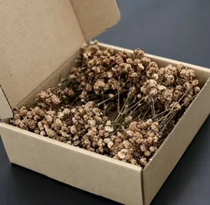 Natural dried baby's breath flowers in craft box for DIY crafts, home decor, and party gifts.