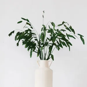 Green preserved flower dried branches bouquet detail view for home decoration and floral art.
