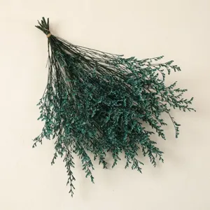 Green preserved flower bouquet for home decor and shop display, natural dry plant branches.