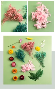 Dried flowers DIY materials assorted preserved baby breath hydrangeas for craft gift decor.