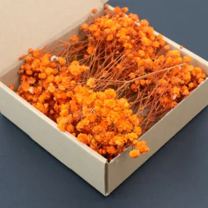 Orange mini dried baby's breath flowers in box for wedding party home floral decor.