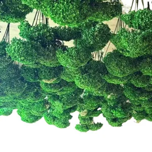 Green preserved flower dried branches bulk hanging bundles for home decor floral arrangement