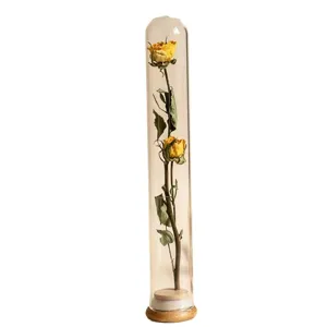 Mini tube en verre rose séchée fleur éternelle bouteille cadeau romantique décoration