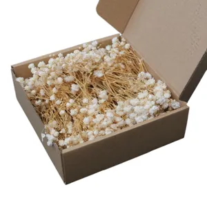 Natural Dried Flowers Gypsophila Bouquet Preserved Flowers DIY Material Box For Party Gift Christmas Home Wedding Decoration