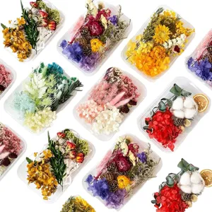 Preserved dried flower DIY material box set for beautiful craft decoration and gifts.